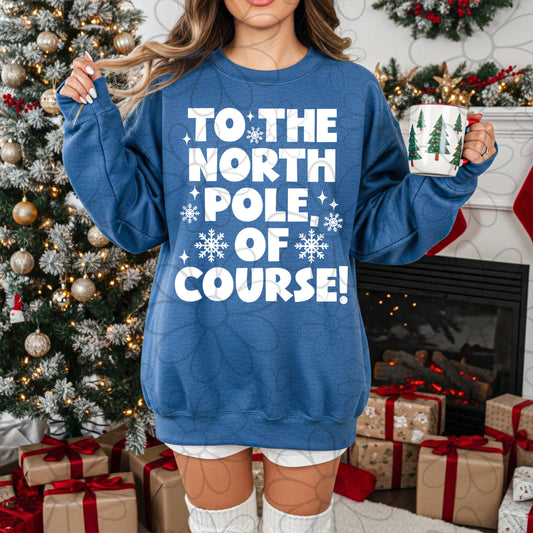 The North Pole Of Course | Single Color | PNG