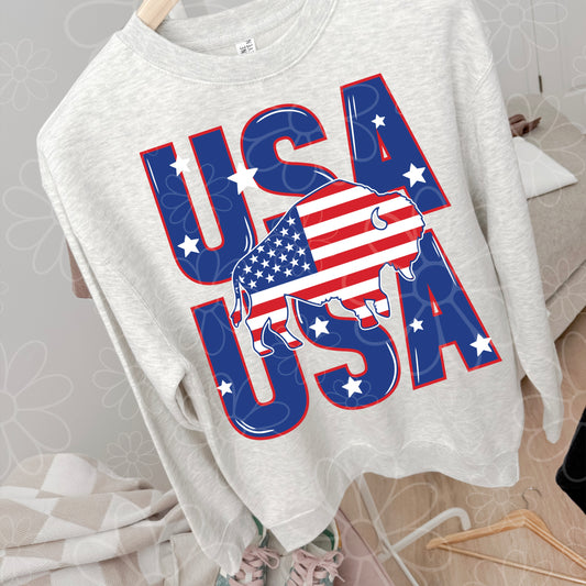 Buffalo USA | PNG | February 26