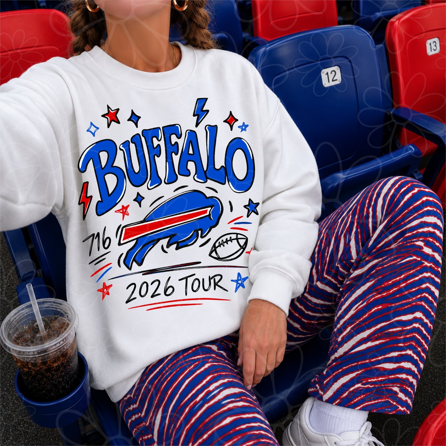 Sketchy Buffalo Football 2026 Tour | FRONT & BACK | | PNG
